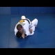 Drilling Brazilian Jiu-Jitsu can be a very usefull tool