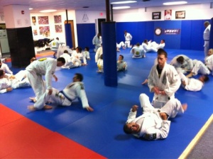 Royler Gracie teaches at Lyndhurst Jiu-Jitsu school
