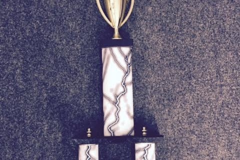Lyndhurst Jiu-Jitsu school sweeps tournament championship