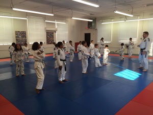 martial arts belleville