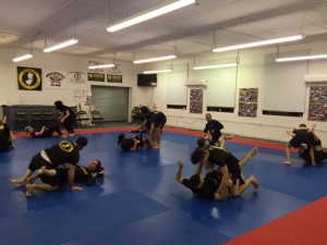 Martial Arts Lyndhurst