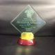 Lyndhurst martial artist wins Instructor of the year