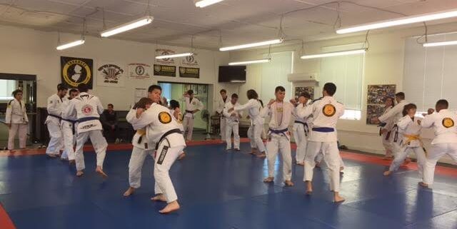 Importance of team for BJJ Students and Competitors