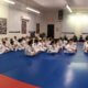 The Roles of a Youth Martial Arts Instructor