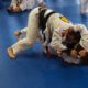 To Gi or not to Gi