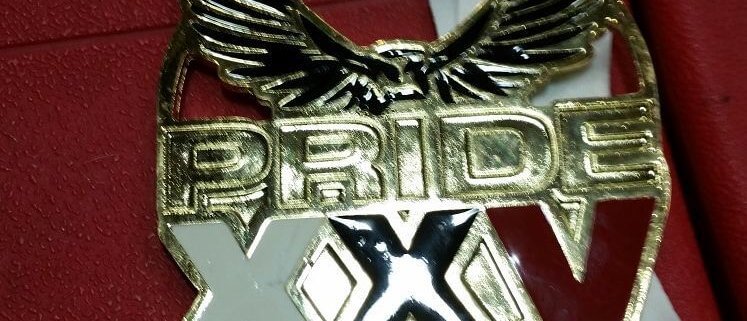 Lyndhurst Martial Arts Academy Pride Tournament results
