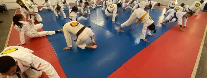 Savarese BJJ makes a difference