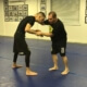 Head/Hand attacks in BJJ