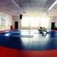 Which BJJ techniques they should focus on?