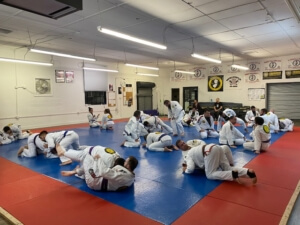 Risk assessment in BJJ
