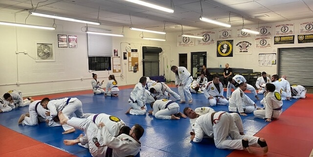 Risk assessment in BJJ