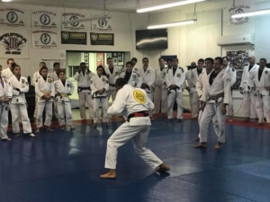 Learning and retaining information in BJJ