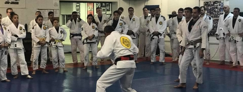 Learning and retaining information in BJJ