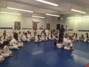 Art of teaching BJJ