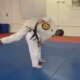 BJJ Takedowns for Self Defense