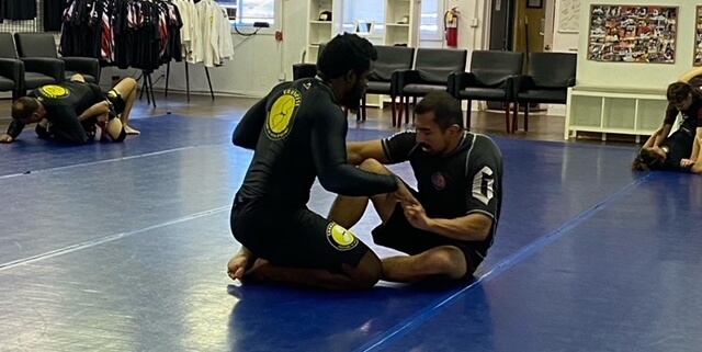 4 limbs theory in BJJ