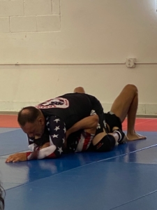 Mounted pinning-the next new trend in BJJ?