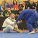 Attacks from seated/butterfly guard in Sport BJJ