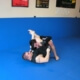 Variations are key in BJJ