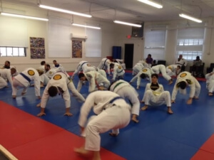 BJJ's path from knowledge to skill