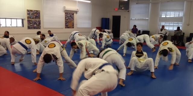 BJJ's path from knowledge to skill