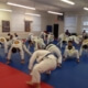 BJJ's path from knowledge to skill