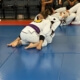 Recognition of opportunity in BJJ