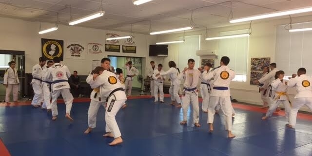 Defensive skills in BJJ