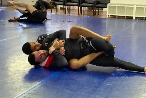 The back and mount in BJJ