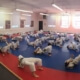 Covering distance in BJJ