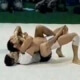 Chokes from the back in BJJ