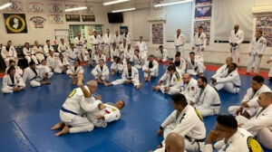 Principles versus techniques in BJJ
