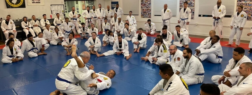 Principles versus techniques in BJJ