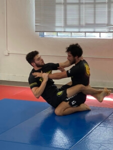 The first points of contact in BJJ