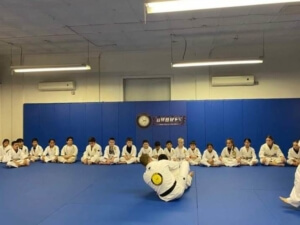 Lyndhurst Kids Jiu-Jitsu