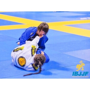 Principles in Brazilian Jiu-Jitsu