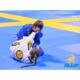 Principles in Brazilian Jiu-Jitsu