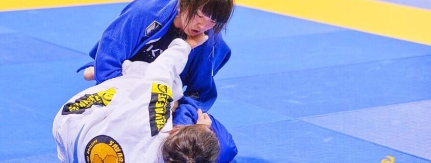Principles in Brazilian Jiu-Jitsu