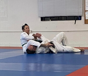Joint lock submissions in BJJ