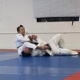 Joint lock submissions in BJJ