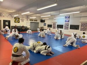 The beginning of your journey in BJJ
