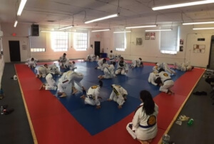 Curious or serious learner in BJJ?
