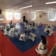 Curious or serious learner in BJJ?