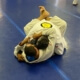 Controlling your emotions in BJJ
