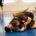 In BJJ, Time always catches up